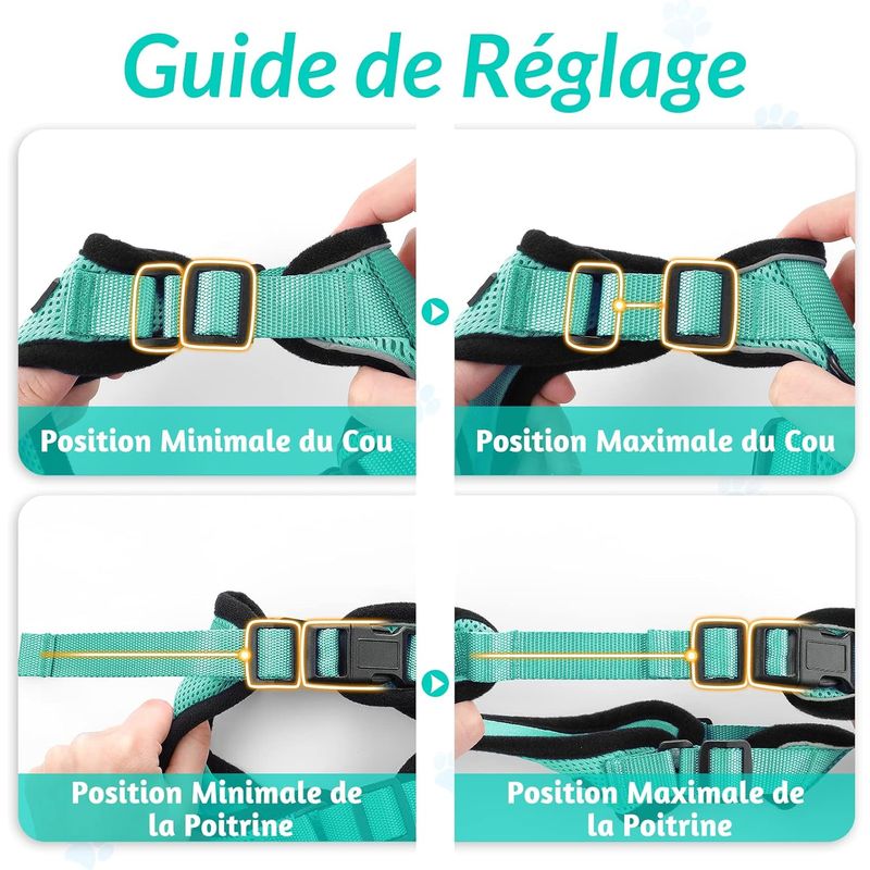 UAMLY Harnais et laisses réfléchissants pour chats(Vert)