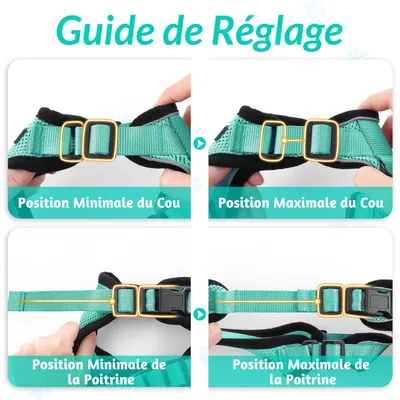 UAMLY Harnais et laisses réfléchissants pour chats(Vert)