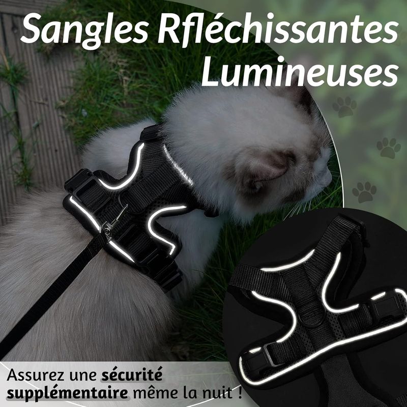 UAMLY Harnais et laisses réfléchissants pour chats(Noir)