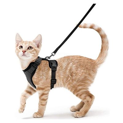 UAMLY Harnais et laisses réfléchissants pour chats(Noir)