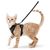 UAMLY Harnais et laisses réfléchissants pour chats(Noir)
