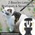UAMLY Harnais et laisses réfléchissants pour chats(Noir)
