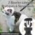 UAMLY Harnais et laisses réfléchissants pour chats(Noir)