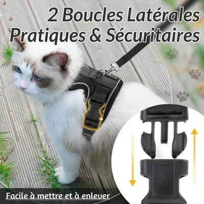 UAMLY Harnais et laisses réfléchissants pour chats(Noir)