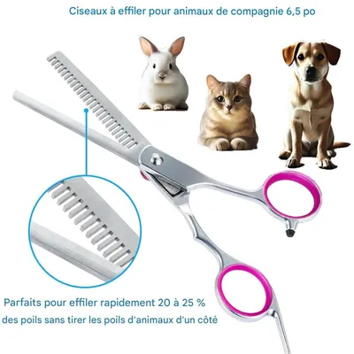 Pet Planet Chiens et Chats Ciseaux de ToilettageSet Ciseaux de Toilettage Pet Planet Chiens et Chats Ciseaux de ToilettageSet Ciseaux de Toilettage