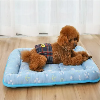 IntiMeg Tente et panier pour chat