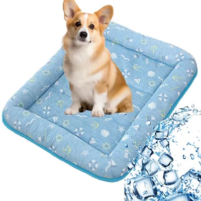 IntiMeg Tente et panier pour chat