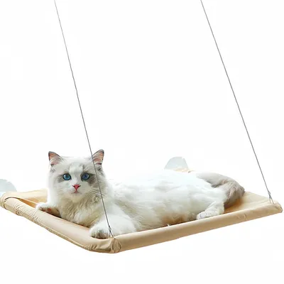 FurryFusion Hamac pour chat monté sur fenêtre