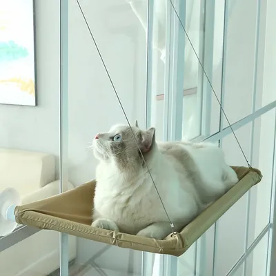 FurryFusion Hamac pour chat monté sur fenêtre