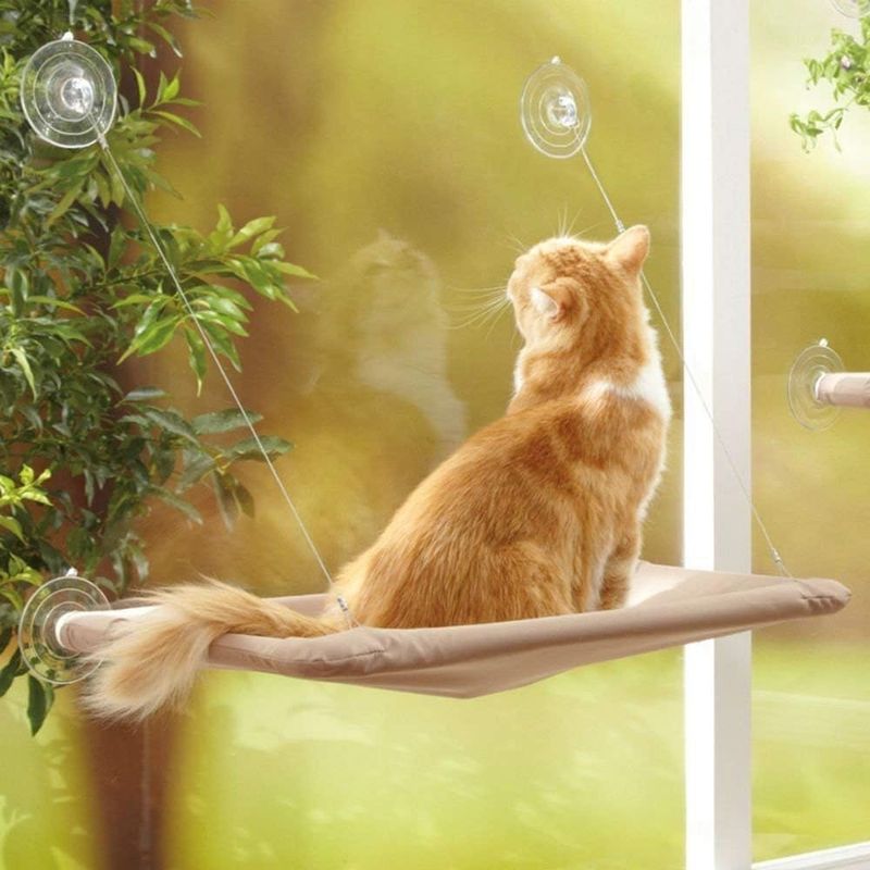 FurryFusion Hamac pour chat monté sur fenêtre