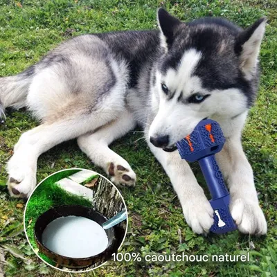 Pet Planet Chiens Jouets à Mâcher en Caoutchouc