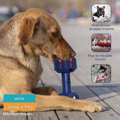 Pet Planet Chiens Jouets à Mâcher en Caoutchouc