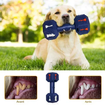 Pet Planet Chiens Jouets à Mâcher en Caoutchouc