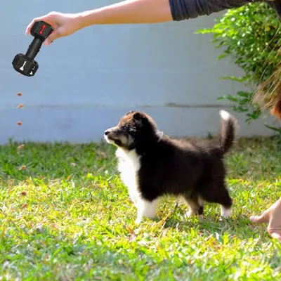 Pet Planet Chiens Jouets à Mâcher en Caoutchouc