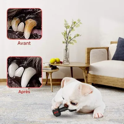 Pet Planet Chiens Jouets à Mâcher en Caoutchouc