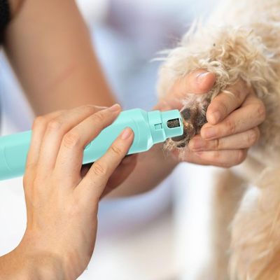Petopia Coupe - ongles pour chien et chat
