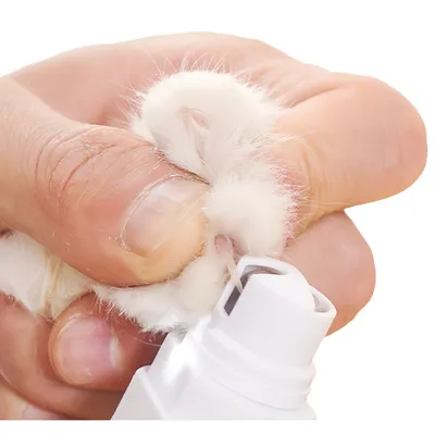 FurryFusion Broyeur à ongles électrique pour chien