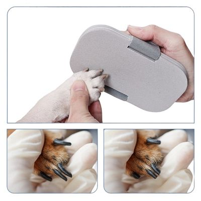 Petopia Planche à gratter et lime à ongles pour chien