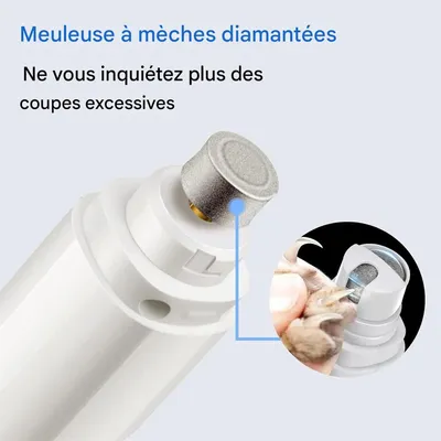 IntiMeg Broyeur d'ongles Ciseaux à griffes pour animaux