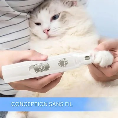 IntiMeg Broyeur d'ongles Ciseaux à griffes pour animaux