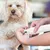 Petopia Coupe - ongles pour chien et chat