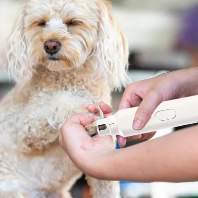 Petopia Coupe - ongles pour chien et chat