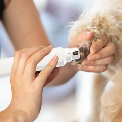 Petopia Coupe - ongles pour chien et chat