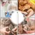 Petopia Coupe - ongles pour chien et chat
