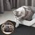UAMLY Tapis pour Bac à Litière pour Chat EVA Double Couche