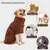 Petopia Peignoir en Microfibre pour Chien Moyen et Grand