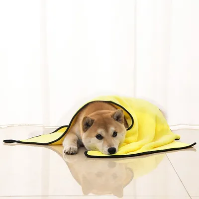 Petopia  Serviette absorbante pour chat et chien