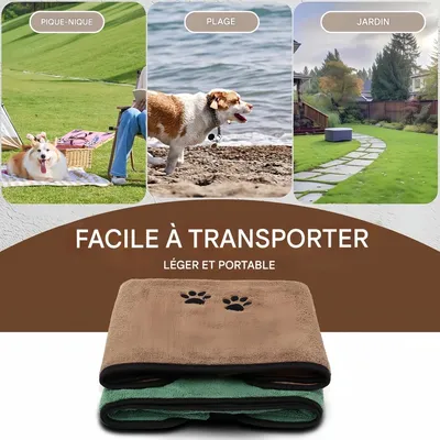 Pet Planet Chiens ServiettesSet Lot de 2 Serviettes de Bain en Microfibre