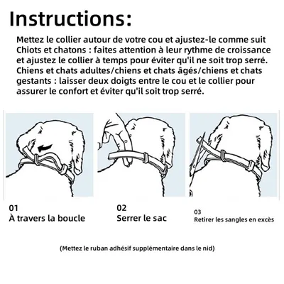 Pet Planet Collier antiparasitaire pour chiens