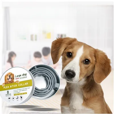 Pet Planet Collier antiparasitaire pour chiens