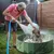 UAMLY Parc à balles pour chat - Parc pliable pour animaux de compagnie UAMLY Parc à balles pour chat - Parc pliable pour animaux de compagnie
