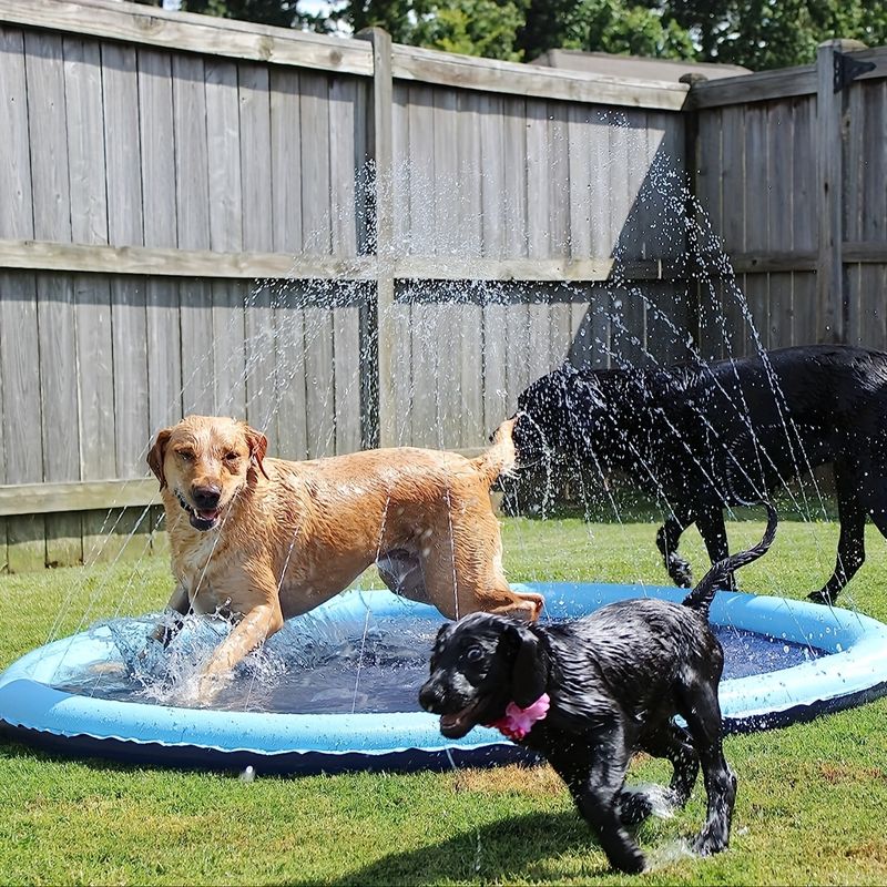 UAMLY Tapis anti-éclaboussures pour chien, piscine antidérapante pour chien