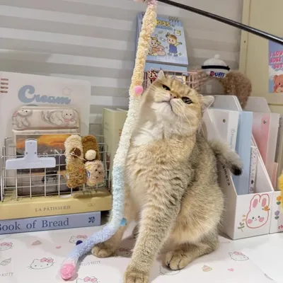 Pet Planet Chats JouetsSet Baton à Chat en Peluche