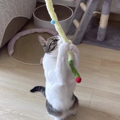 Pet Planet Chats JouetsSet Baton à Chat en Peluche