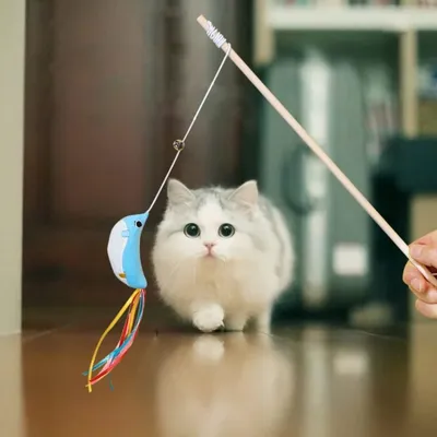 Pet Planet Chats 3 Pièces Baguettes à Chat