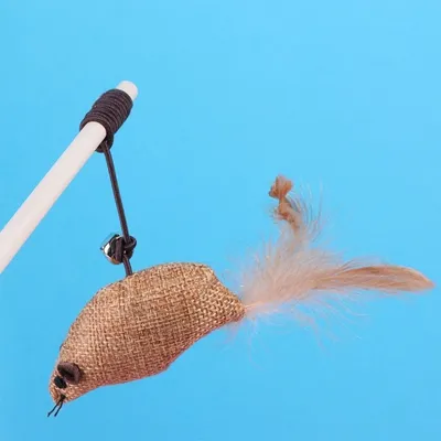 Pet Planet Chats JouetsSet Ensemble de Jouets avec Baton à Chat