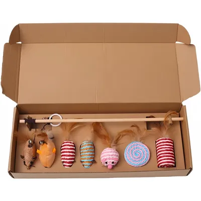 Pet Planet Chats JouetsSet Ensemble de Jouets avec Baton à Chat
