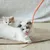 FurryFusion Jouet baguette pour chat en forme de queue de souris simulée