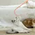 FurryFusion Jouet baguette pour chat en forme de queue de souris simulée