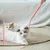 FurryFusion Jouet baguette pour chat en forme de queue de souris simulée
