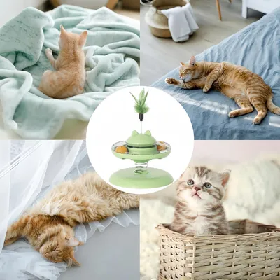 Petopia Jouet pour chat