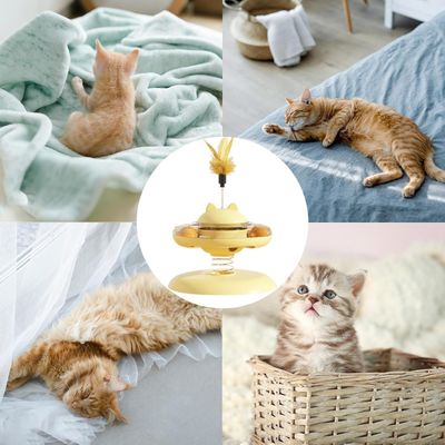 Petopia Jouet pour chat