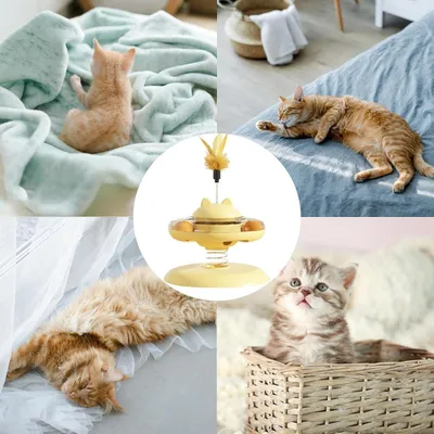 Petopia Jouet pour chat