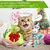 Petopia Jouets interactifs pour chat d'intérieur