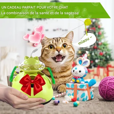 Petopia Jouets interactifs pour chat d'intérieur