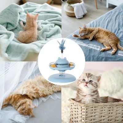 Petopia Jouet pour chat
